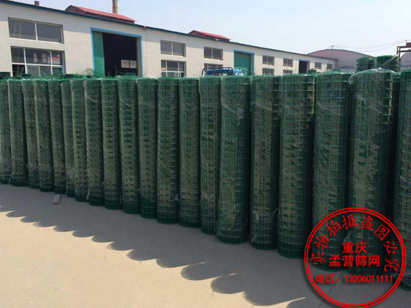 荷蘭網(wǎng)護(hù)欄網(wǎng),鐵絲波浪網(wǎng),波浪護(hù)欄網(wǎng)